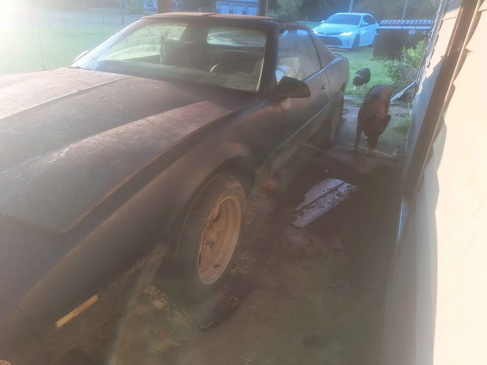 1991 Pontiac Firebird Formula 3rd Gen - Image 2 of 10