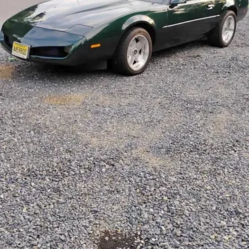 1991 Pontiac Firebird Formula