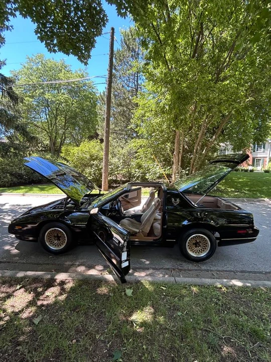 1991 Pontiac Firebird 3rd Gen - Image 2 of 15