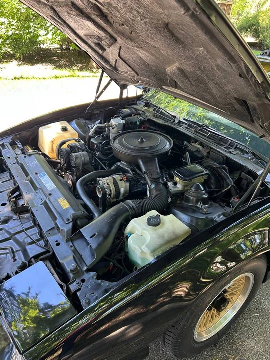 1991 Pontiac Firebird 3rd Gen - Image 12 of 15