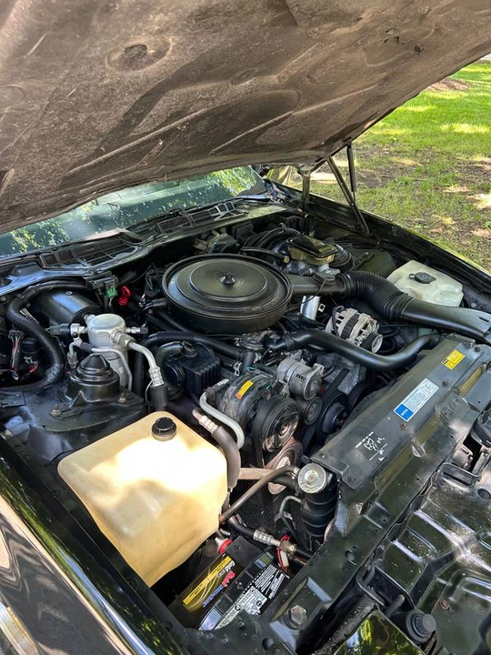 1991 Pontiac Firebird 3rd Gen - Image 13 of 15