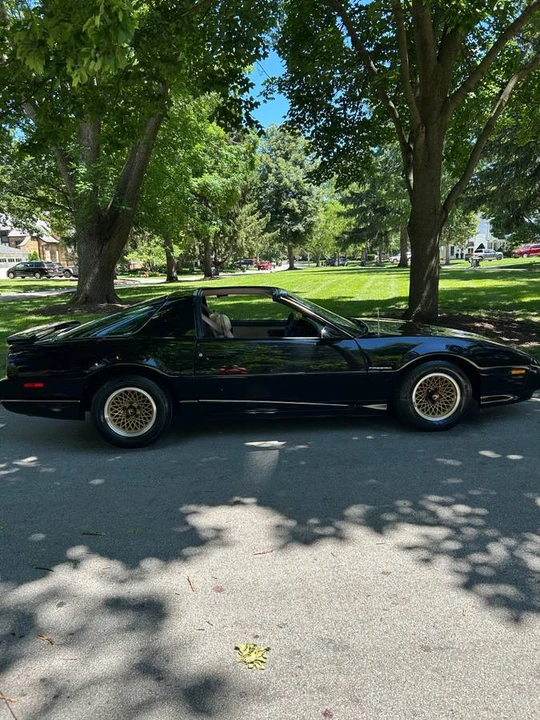1991 Pontiac Firebird 3rd Gen - Image 6 of 15