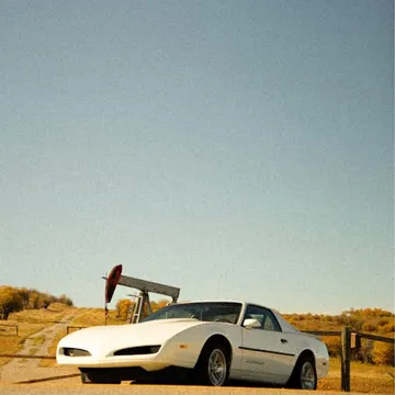 1991 Pontiac Firebird Formula