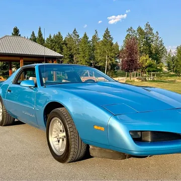 1991 Pontiac Firebird Formula WS6
