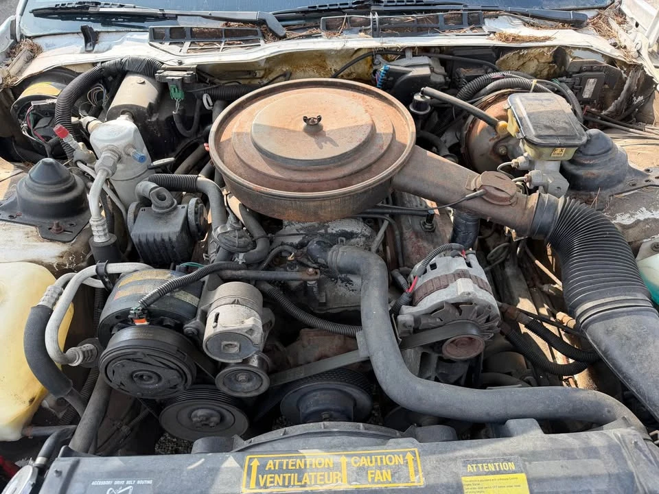 1991 Pontiac Firebird 3rd Gen - Image 12 of 17