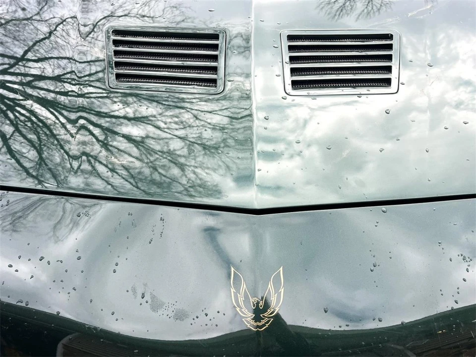 1991 Pontiac Firebird Trans Am 3rd Gen - Image 8 of 31