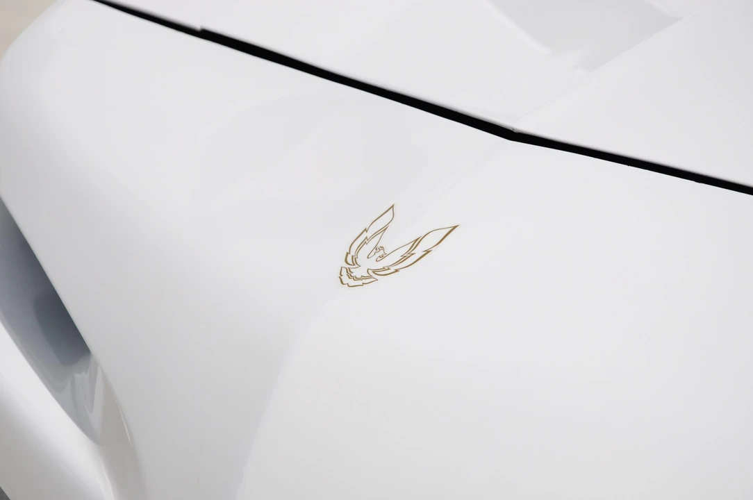 1991 Pontiac Firebird Trans Am 3rd Gen - Image 30 of 31