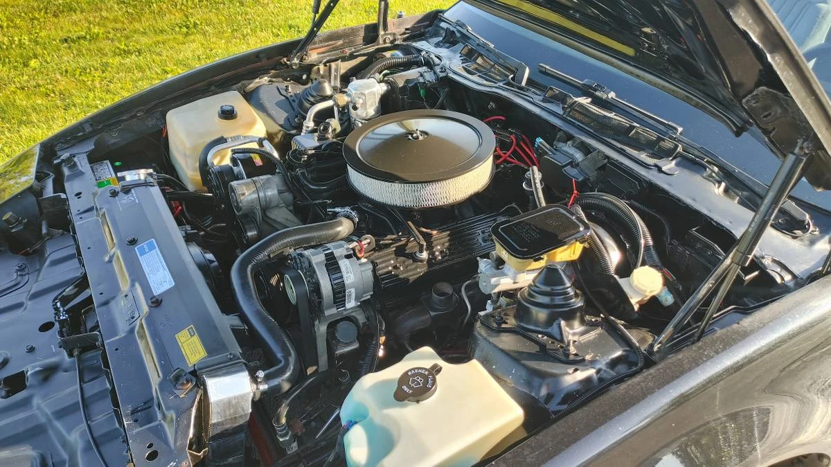 1991 Pontiac Firebird 3rd Gen - Image 15 of 24