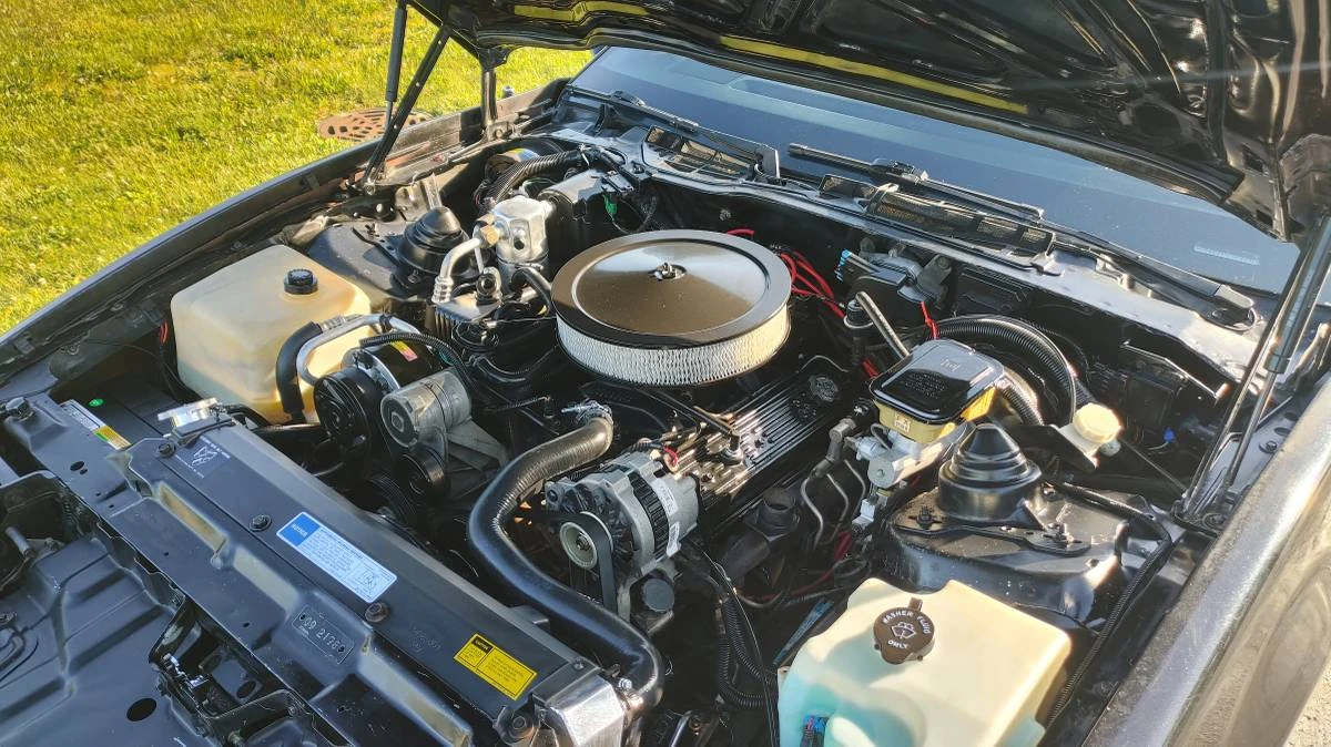1991 Pontiac Firebird 3rd Gen - Image 13 of 24