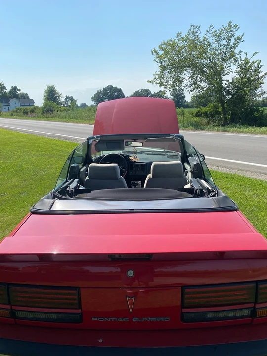 1991 Pontiac Sunbird - Image 3 of 6