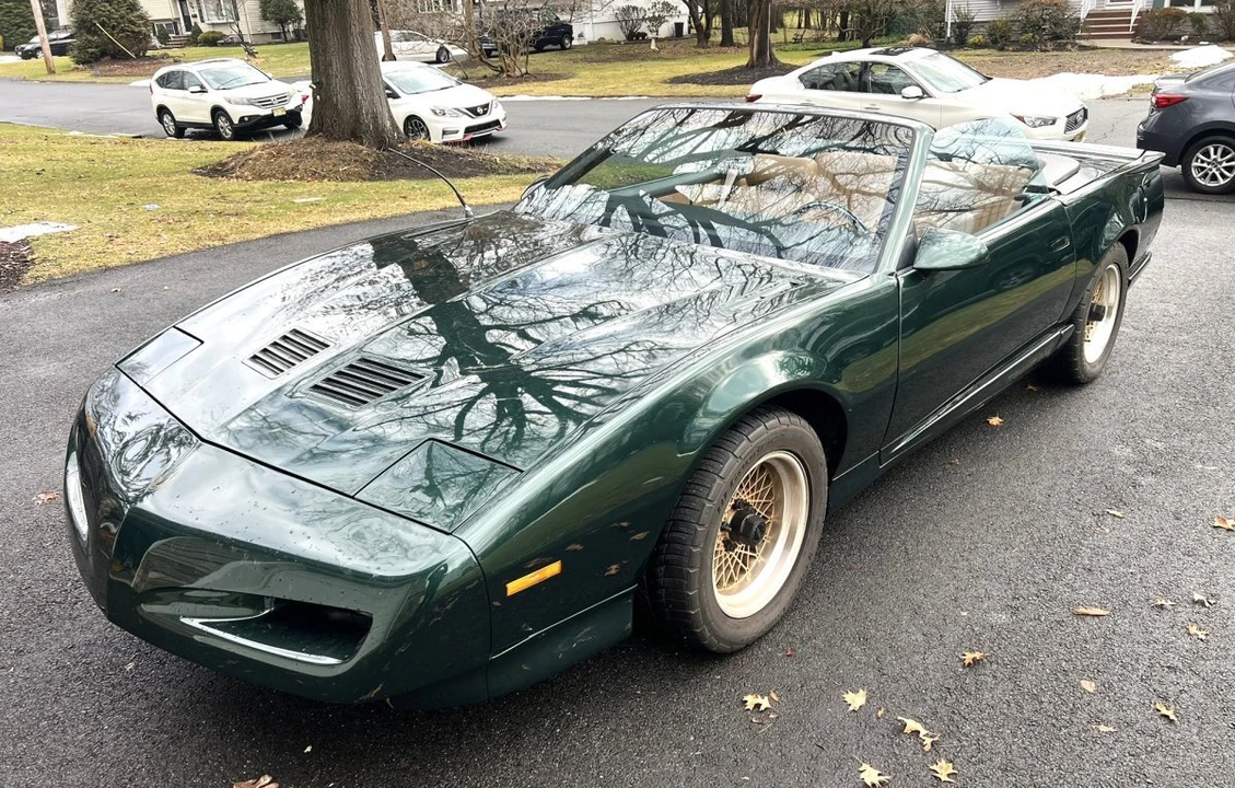 1991 Pontiac Firebird Trans Am 3rd Gen - Image 3 of 31