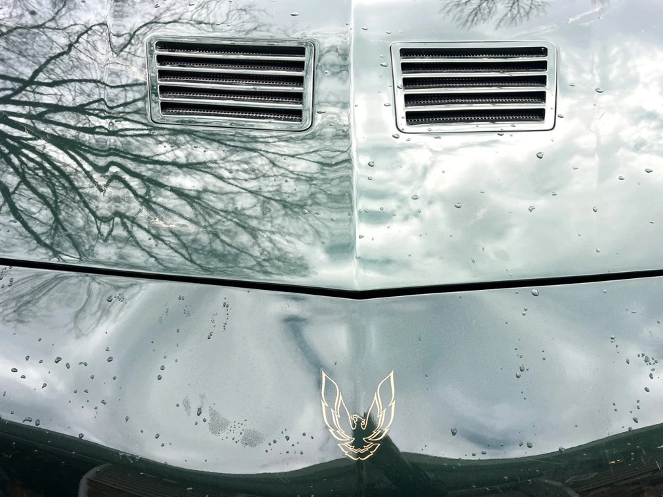 1991 Pontiac Firebird Trans Am 3rd Gen - Image 9 of 31