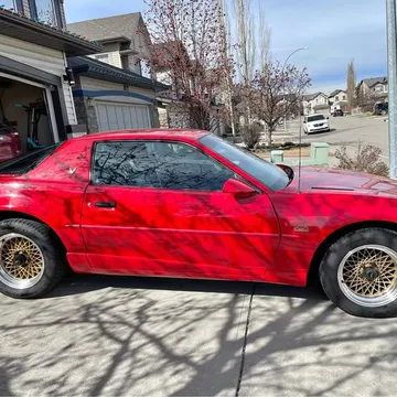 1991 Pontiac Trans Am GTA