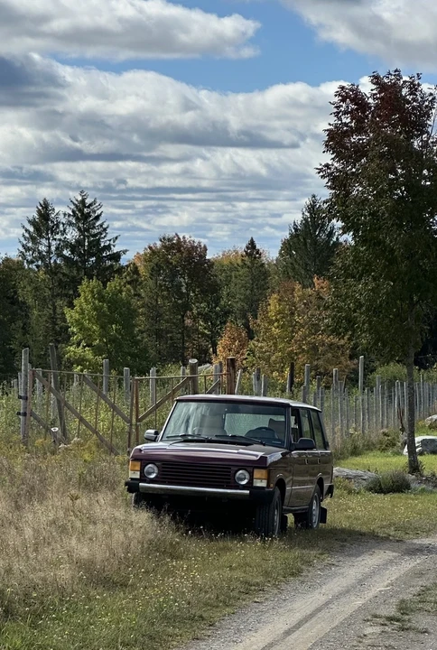 1991 Land Rover Range Rover Classic - Image 2 of 10