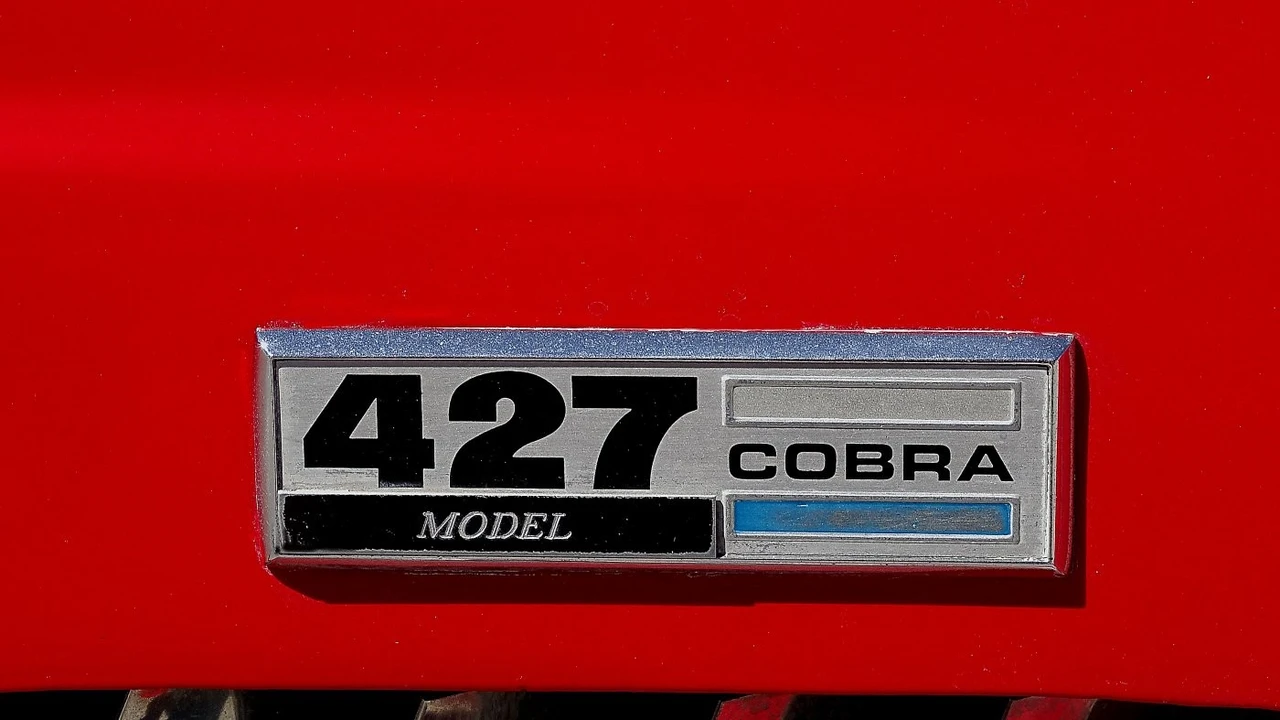 1991 Shelby Cobra Replica - Image 17 of 21