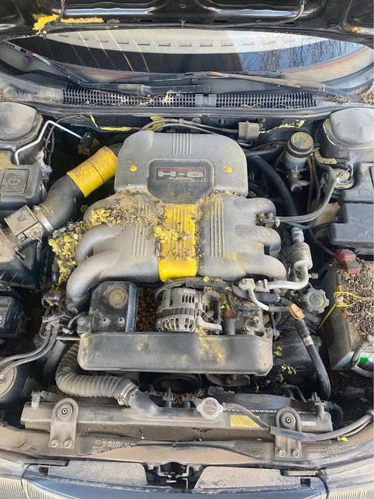 1991 Subaru SVX - Image 8 of 8