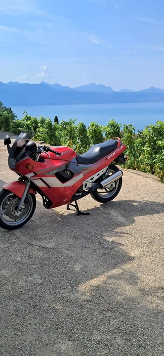 1991 Suzuki GSX-R - Image 18 of 19