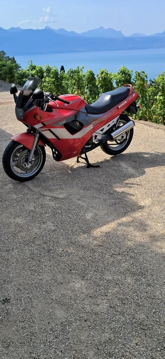 1991 Suzuki GSX-R - Image 19 of 19