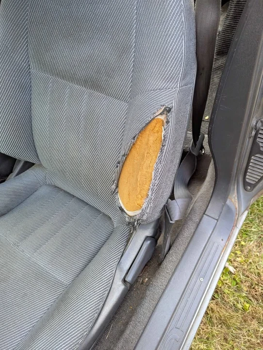 1991 Toyota Celica 5th Gen - Image 11 of 11