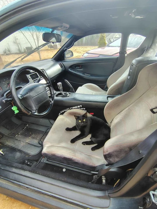 1991 Toyota SW20 MR2 - Image 4 of 4