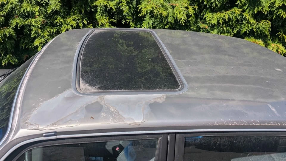 1991 Volvo 244 - Image 3 of 8