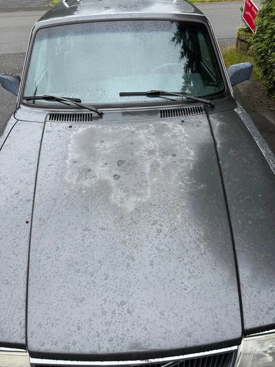 1991 Volvo 245 - Image 2 of 8
