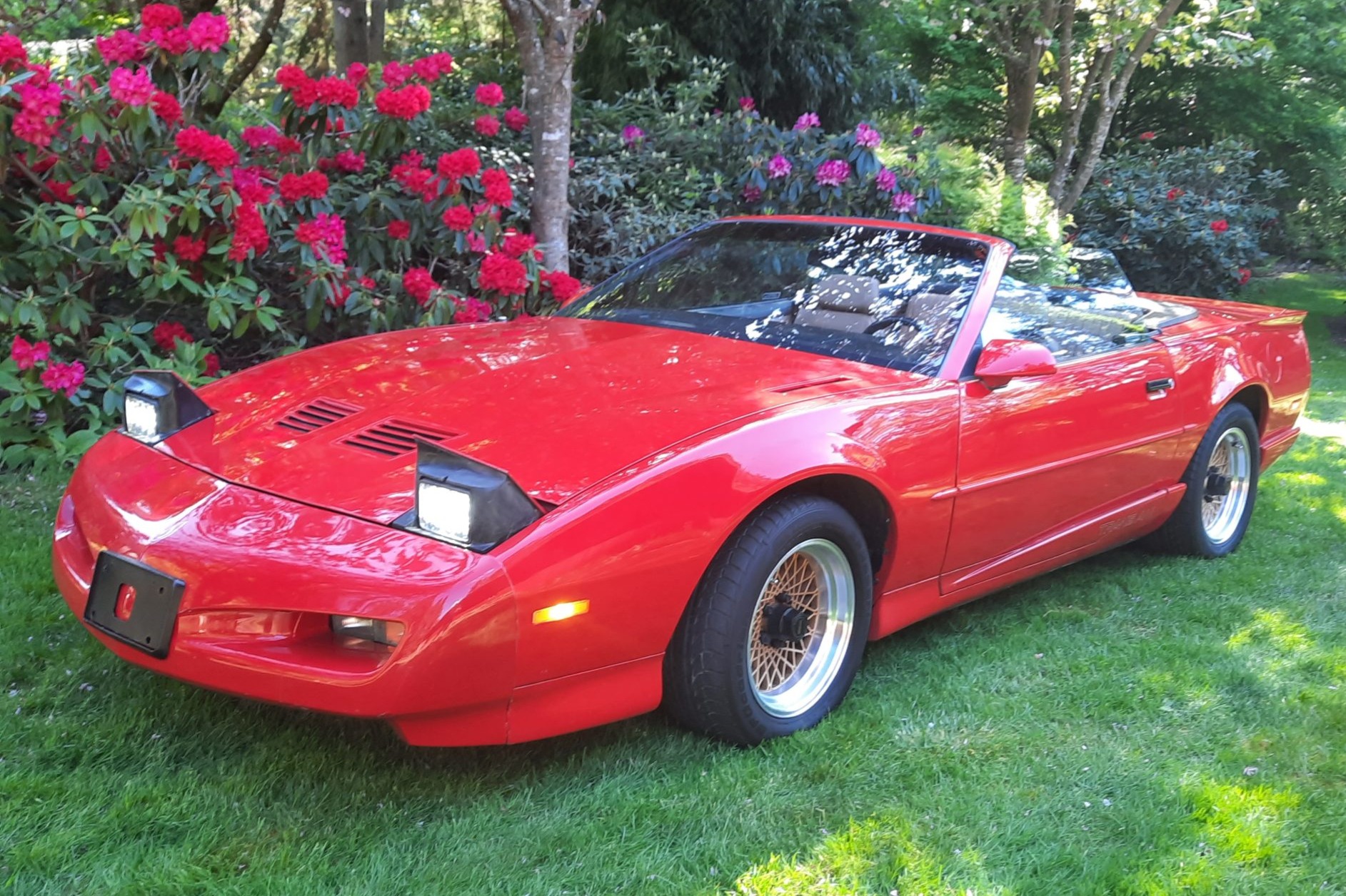 1991 Pontiac Firebird Trans Am Convertible