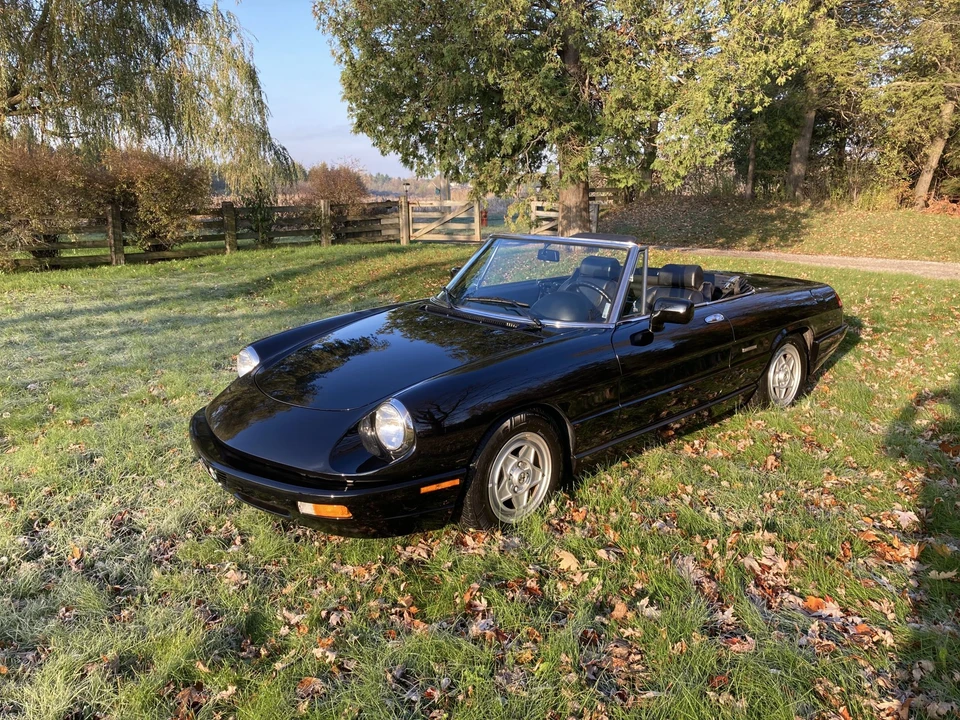 1992 Alfa Romeo Series 4 - Image 8 of 31