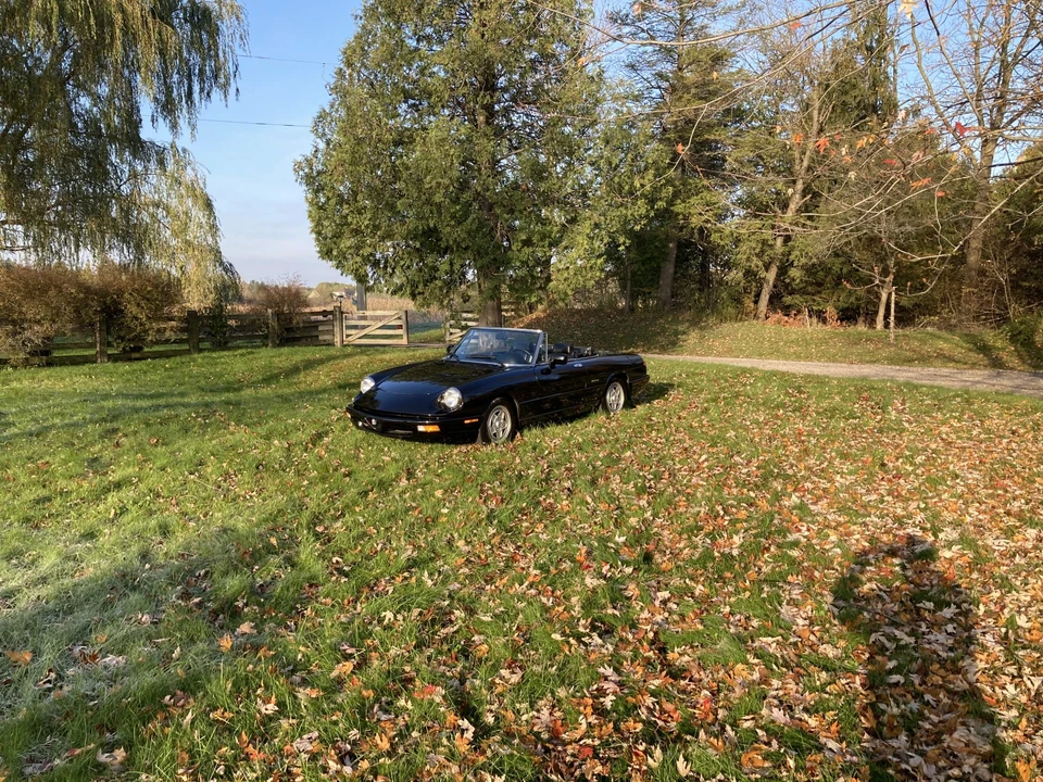 1992 Alfa Romeo Series 4 - Image 18 of 31