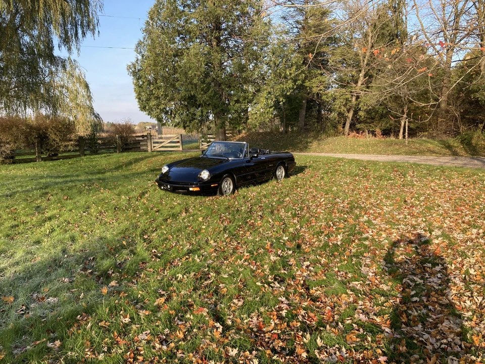 1992 Alfa Romeo Series 4 - Image 17 of 31