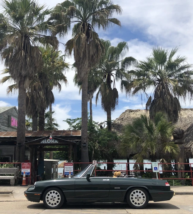 1992 Alfa Romeo Series 4 - Image 3 of 31