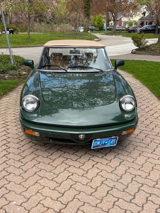 1992 Alfa Romeo 102-Series 2000 - Image 2 of 8