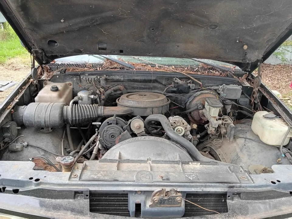 1992 Chevrolet C/K 4th Gen - Image 8 of 11