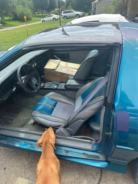 1992 Chevrolet Camaro 3rd Gen - Image 3 of 6
