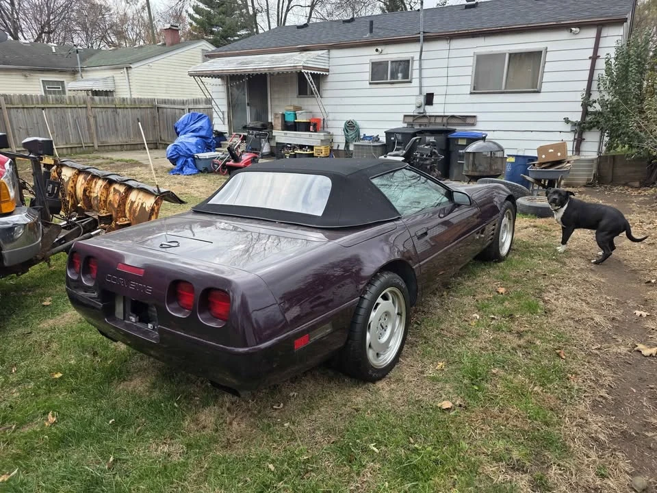 1992 Chevrolet Corvette C4 - Image 4 of 10
