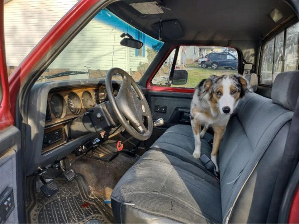 1992 Dodge D Series - Image 5 of 7