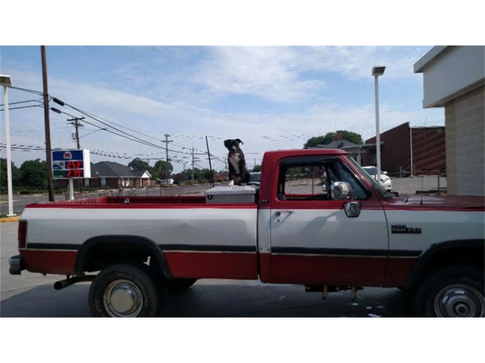 1992 Dodge D Series - Image 3 of 7