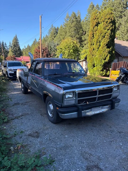 1992 Dodge D Series - Image 2 of 8