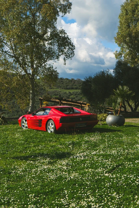 1992 Ferrari 512 TR - Image 13 of 31