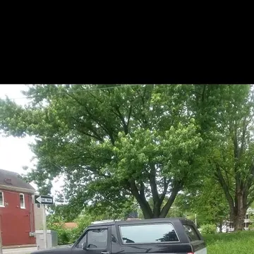 1992 Ford Bronco XLT