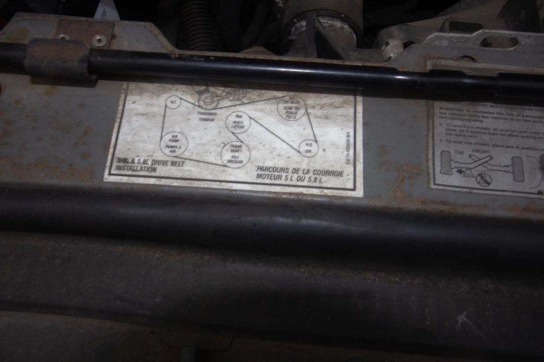 1992 Ford F-Series 9th Gen - Image 8 of 20