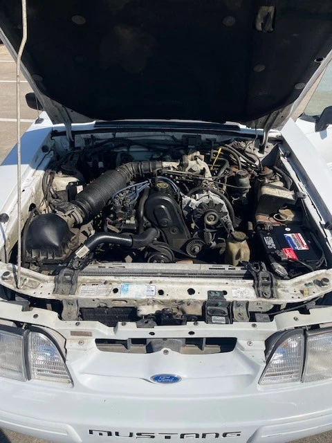 1992 Ford Mustang 3rd Gen - Image 16 of 17