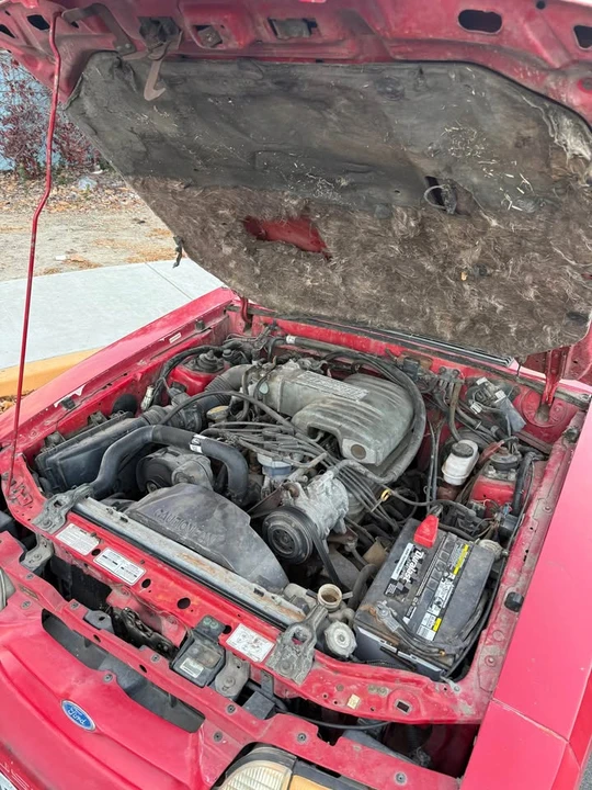 1992 Ford Mustang 3rd Gen - Image 4 of 4