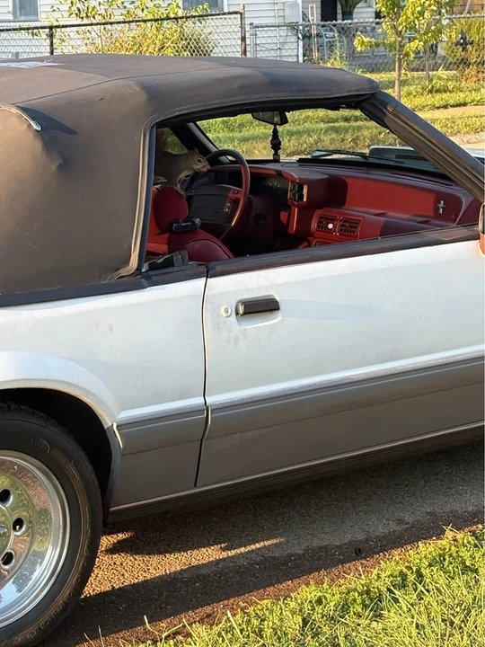 1992 Ford Mustang 3rd Gen - Image 4 of 4