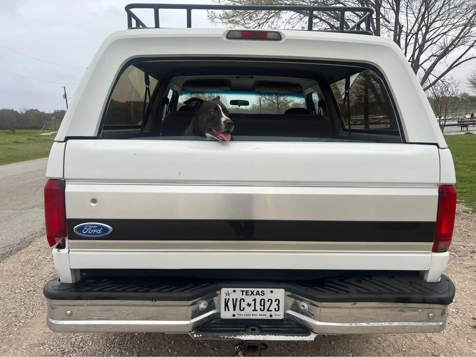1992 Ford Bronco 5th Gen - Image 4 of 10