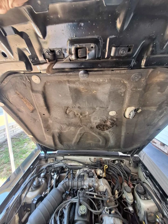 1992 Ford Mustang 3rd Gen - Image 2 of 14