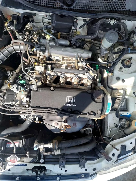 1992 Honda EG Civic - Image 11 of 11