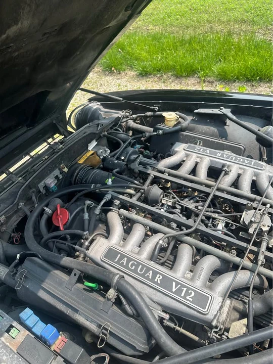 1992 Jaguar XJS Convertible - Image 6 of 13