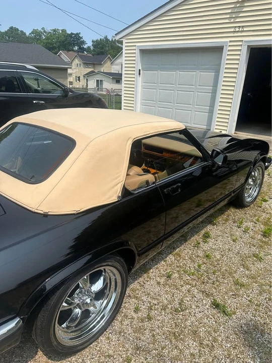 1992 Jaguar XJS Convertible - Image 11 of 13