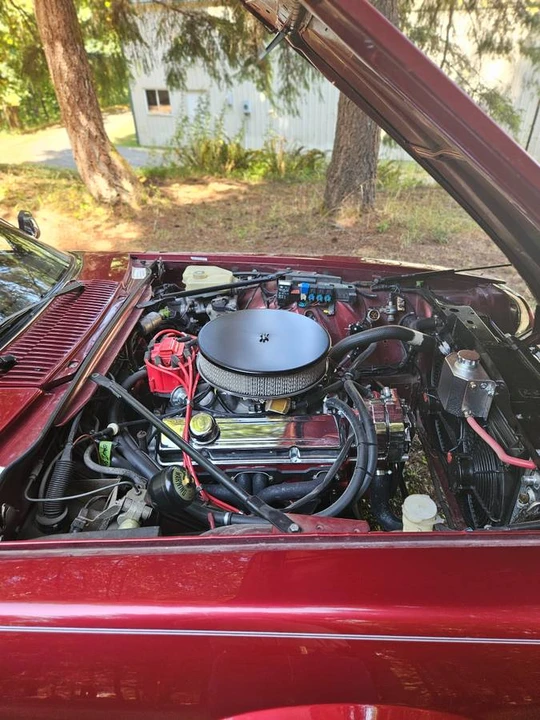 1992 Jaguar XJS Convertible - Image 6 of 20